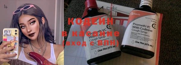 крисы Вяземский