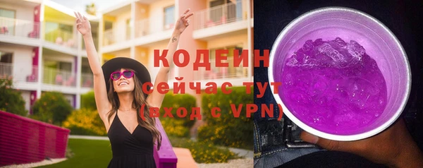 крисы Вяземский