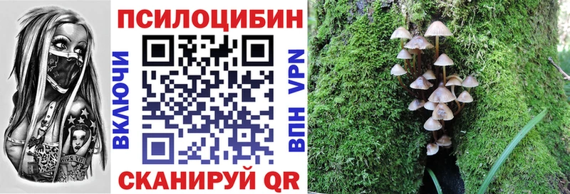Псилоцибиновые грибы прущие грибы  Купить закладки  Правдинск 